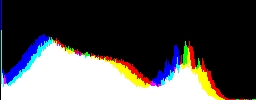 Histogram